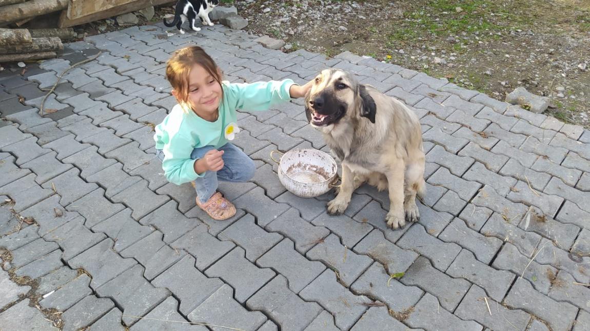4 EKİM HAYVANLARI KORUMA GÜNÜ 